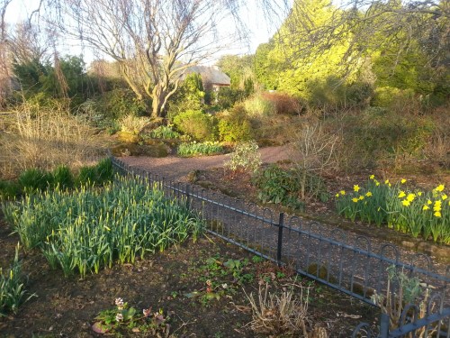 20150404_185549.jpg image